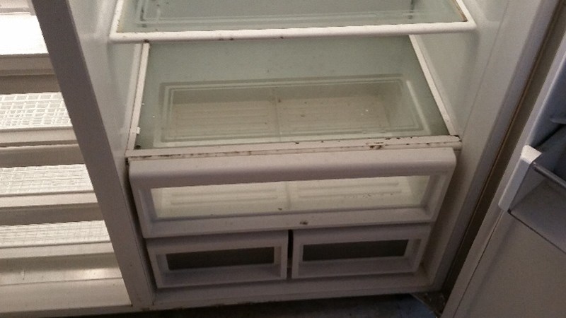 Water Damage - Mold in a Refrigerator