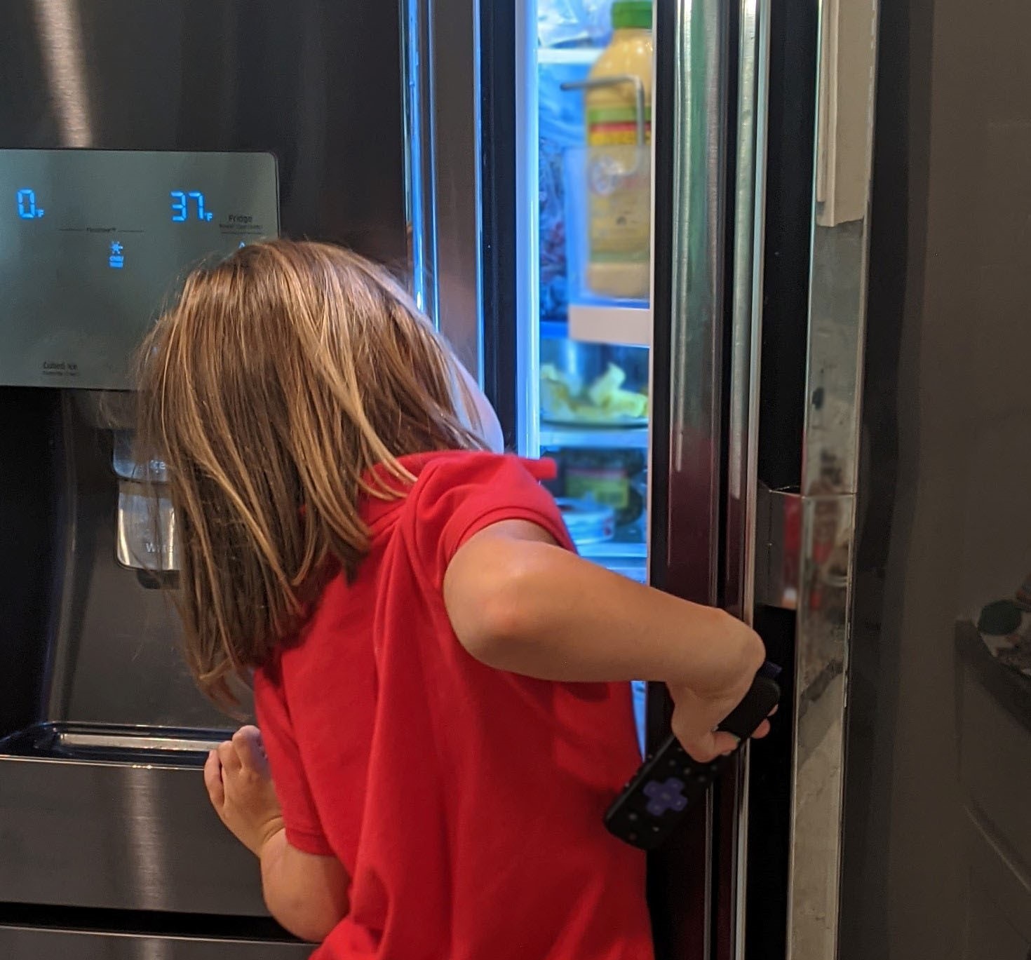 fridge damage report